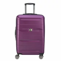 DELSEY Paris Comete 2.0 Hardside Expandable Luggage With Spinner Wheels, Purple, Checked-Medium 24 Inch