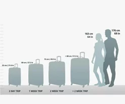 DELSEY Paris Softside Expandable Luggage With Spinner Wheels, Black. Large And Carry-On. -TRAVELPRO Sales 31aRTCnQMfL