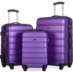 Merax 3 Pcs Luggage Set Expandable Hardside Lightweight Spinner Suitcase With TSA Lock [Upgraded Version] (Purple)