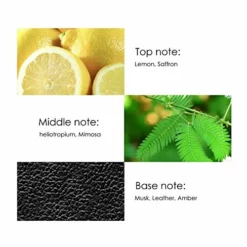 French Men Fragrance Long-Lasting Cologne Perfume Birthday Gift 80ML(Black) -TRAVELPRO Sales 41F4lbKiPZL