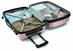 Samsonite Winfield 2 Hardside Luggage With Spinner Wheels, Artic Pink, Carry-On 20-Inch -TRAVELPRO Sales 41Vu6NbUEEL