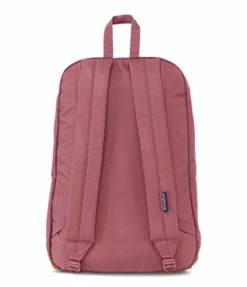 JanSport Cortlandt, Slate Rose, One Size -TRAVELPRO Sales 41hQSDE7 EL