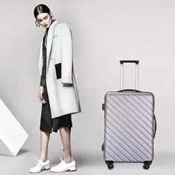 Apelila 5 Piece Luggage Sets,Travel Suitcase Spinner Hardshell Lightweight W/Free Suitcase Cover& Hanger (4PC Sliver W/Covers4+Hanger2+Backbag1) -TRAVELPRO Sales 41p8sNqPhtL