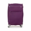Cloe Checked Large 28 Inch Water-Resistant Luggage With 360º-spinner Wheels In Purple Color