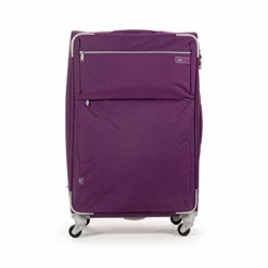 Cloe Checked Large 28 Inch Water-Resistant Luggage With 360º-spinner Wheels In Purple Color