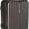 Traveler's Choice Tasmania 100% Pure Polycarbonate Expandable Spinner Luggage, Dark Brown, Carry-on 20-Inch