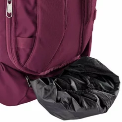 Eagle Creek Women's 65 Liter, Concord, One Size -TRAVELPRO Sales 51jg2z26LUL