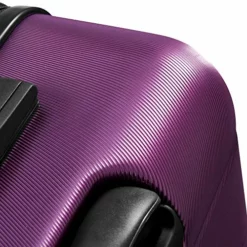 DELSEY Paris Comete 2.0 Hardside Expandable Luggage With Spinner Wheels, Purple, Checked-Medium 24 Inch -TRAVELPRO Sales 51l0FQeDWwL