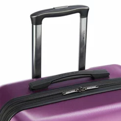 DELSEY Paris Comete 2.0 Hardside Expandable Luggage With Spinner Wheels, Purple, Checked-Medium 24 Inch -TRAVELPRO Sales 51tVGUrUJTL