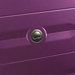 DELSEY Paris Comete 2.0 Hardside Expandable Luggage With Spinner Wheels, Purple, Checked-Medium 24 Inch -TRAVELPRO Sales 61CZeZ84h1L