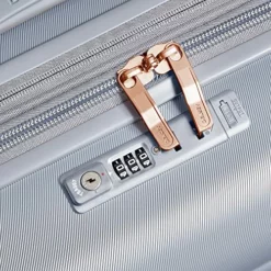 DELSEY Paris Cruise 3.0 Hardside Expandable Luggage With Spinner Wheels, Platinum, Carry On 21 Inch -TRAVELPRO Sales 61aHXlu8ExL