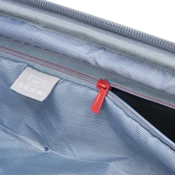 DELSEY Paris Cruise 3.0 Hardside Expandable Luggage With Spinner Wheels, Platinum, Carry On 21 Inch -TRAVELPRO Sales 61egsi56raL