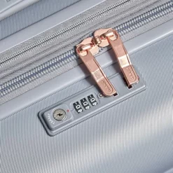 DELSEY Paris Cruise 3.0 Hardside Expandable Luggage With Spinner Wheels, Platinum, Checked-Large 28 Inch 14 DELSEY Paris Cruise 3.0 Hardside Expandable Luggage With Spinner Wheels, Platinum, Checked-Large 28 Inch -TRAVELPRO Sales 61leW0HhGVL