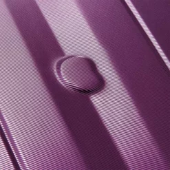 DELSEY Paris Comete 2.0 Hardside Expandable Luggage With Spinner Wheels, Purple, Checked-Medium 24 Inch -TRAVELPRO Sales 61nd2AOP50L